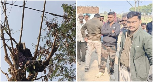 विद्युत लाइन की चपेट में आने से वृद्ध की मौत