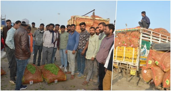 मटर मंडी में बंपर आवक, रेट में आई गिरावट