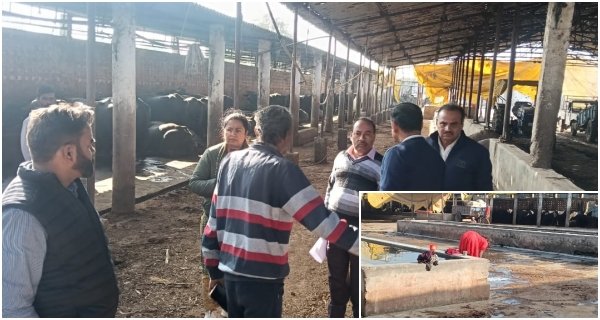 अख्तर डेयरी में कार्रवाई: पानी की टंकी में मिली काई और मृत जानवर