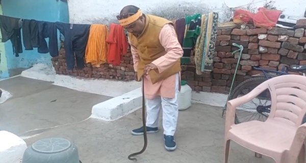 घर में घुसा चार फीट लंबा सांप