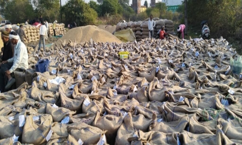 50 हजार किसानों से हुई 3.72 लाख मीट्रिक टन की खरीदी