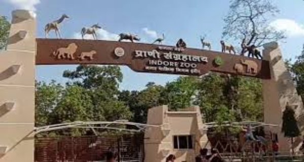 रेस्क्यू तेंदुए के इलाज को लेकर वन विभाग-चिड़ियाघर आमने-सामने