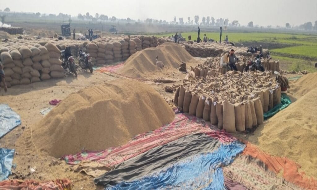 मौसम ने ली करवट: कई खरीदी केंद्रों पर खुले में रखी हजारों क्विंटल धान