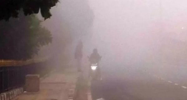 शिवपुरी में शीतलहर, फसलों के लिए कृषि विभाग ने जारी की एडवाइजरी