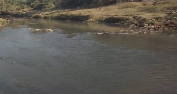 जिलेटिन फैक्ट्री के गंदे नाले की होगी जांच