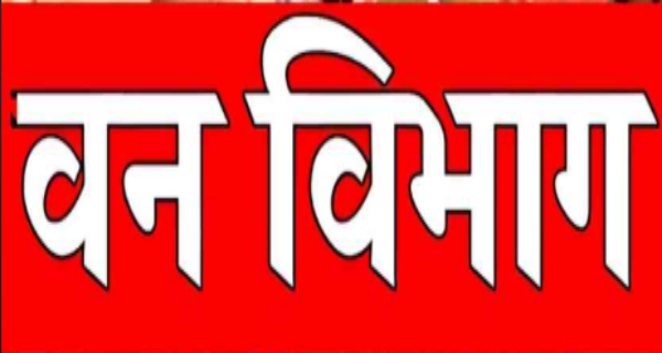 नीलगाय की गोली मारकर हत्या,  अज्ञात शिकारी की तलाश जारी