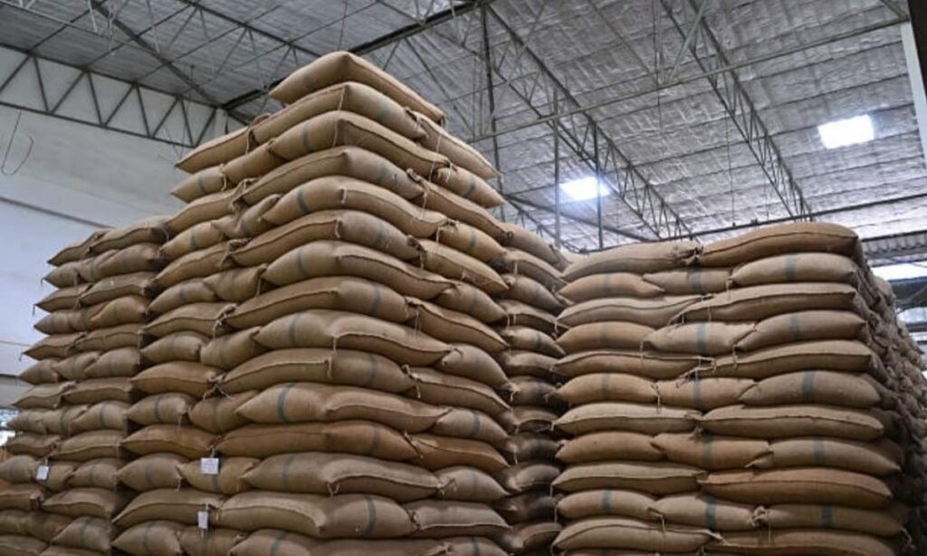 घुन लगे गेहूं के साथ रखी धान, वेयरहाउस ब्लैकलिस्ट