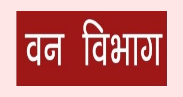 वन्यजीवों के बढ़ते रेस्क्यू के बीच इंदौर वन विभाग खोलेगा अपना रेस्क्यू सेंटर
