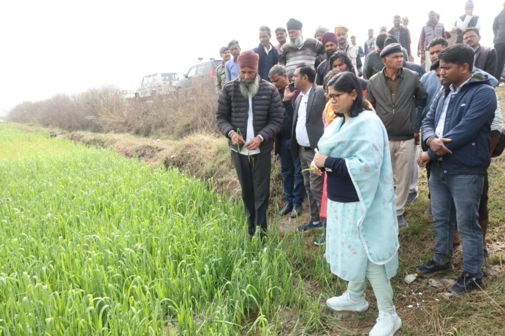 खेत-खेत जाकर कलेक्टर ने किया ओलावृष्टि से नुक़सान का मुआयना, पटवारी निलंबित