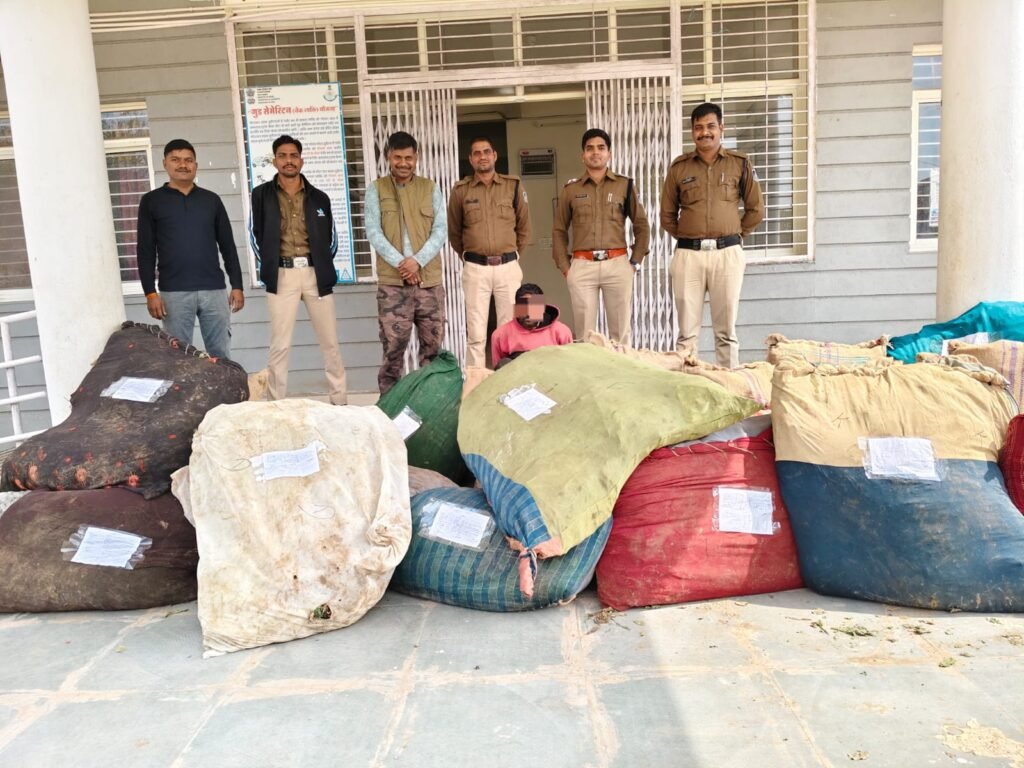 कपास के बीच उगा रखी थी अफीम, ड्रोन से खुलासा
