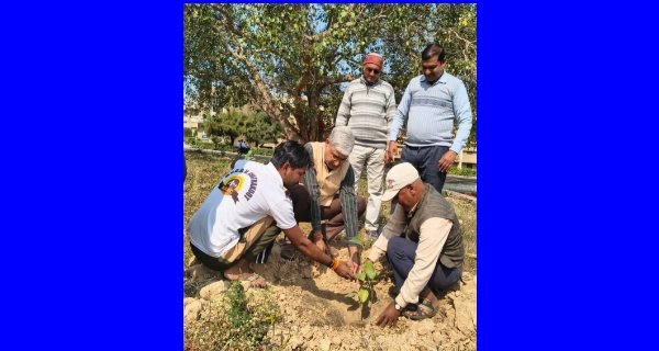 कुलगुरु प्रो. आलोक चौबे ने ग्रामोदय महोत्सव स्मृति वृक्ष लगाया