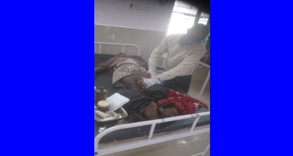 खेत में काम कर रहे बुजुर्ग पर भालू का हमला