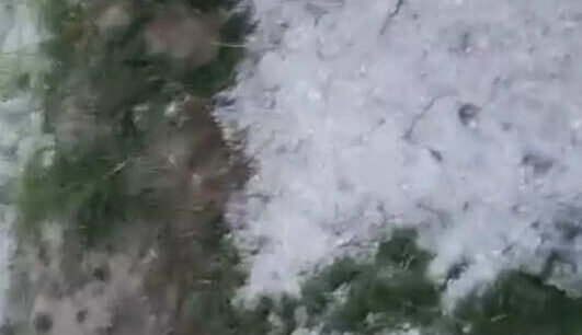 बर्फ की चादर से कश्मीर जैसा नजारा