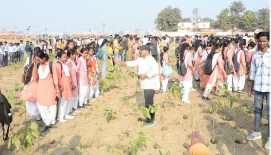 वाराणसी में जनभागीदारी की ताकत से बना विश्व रिकॉर्ड, एक घंटे में लगाये 2.51 लाख पौधे