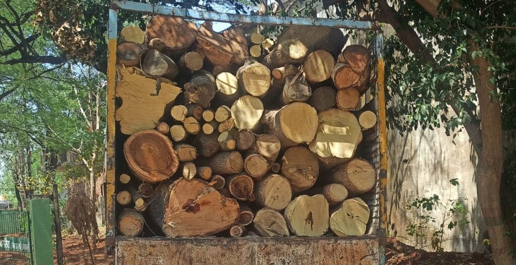 अवैध लकड़ी से भरा ट्रक पकड़ा, वन विभाग ने जब्त कर चालक पर दर्ज किया केस