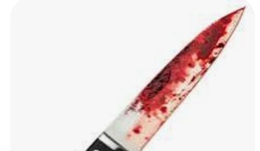 भंडारे के दौरान चाकूबाजी, दो घायल 