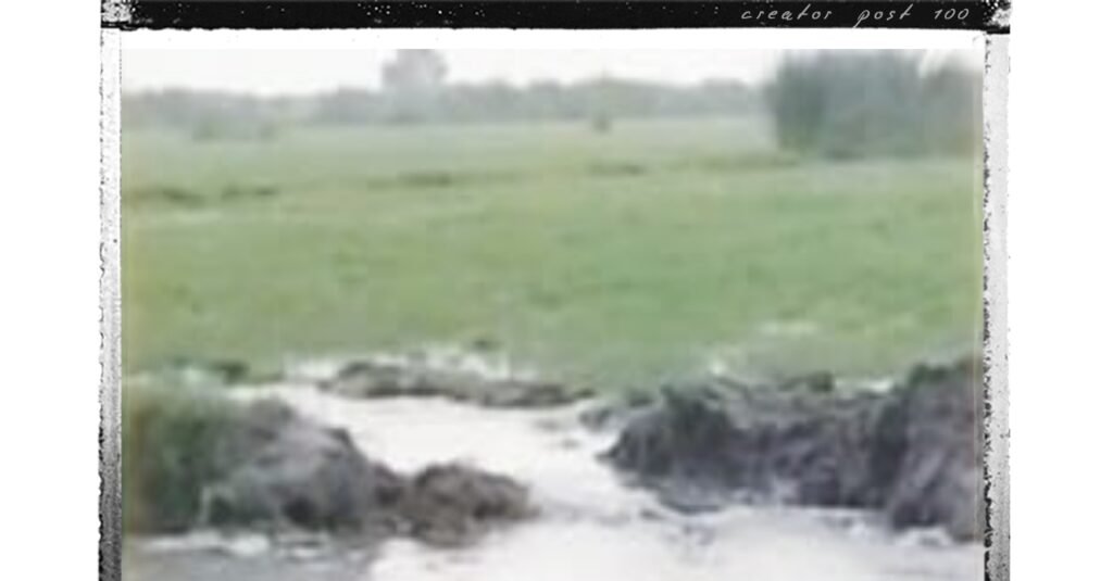 बजट के इंतजार में अटकी नहरों की मरम्मत, किसानों तक नहीं पहुंच पा रहा पानी