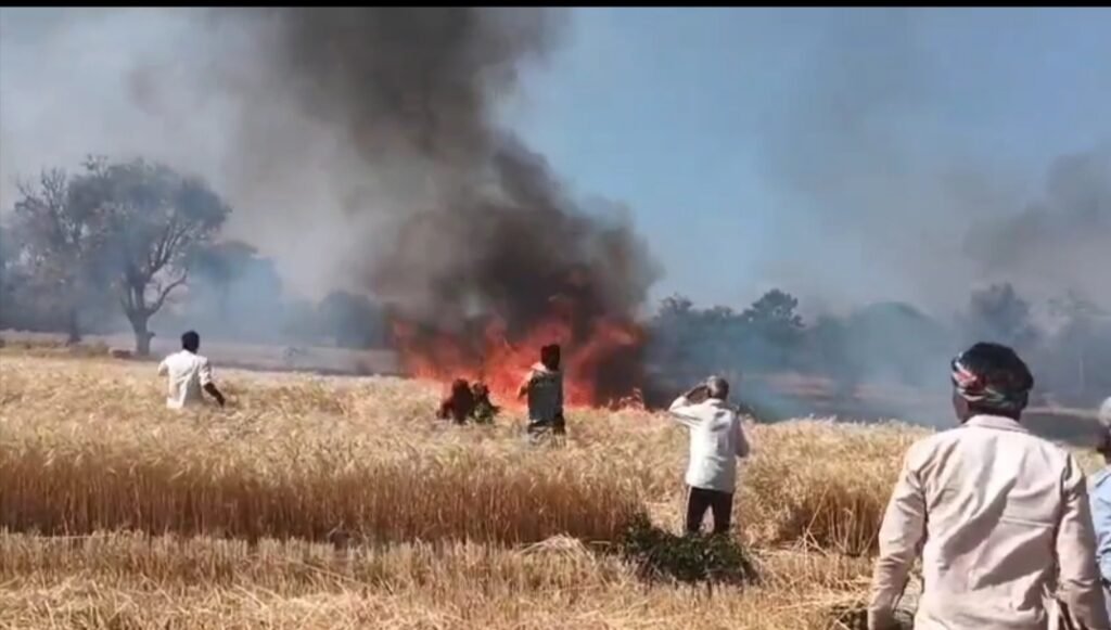 मुलताई में गेहूं की फसल में भीषण आग, 4 एकड़ जलकर खाक, फायर टीम की तत्परता से बड़ा नुकसान टला