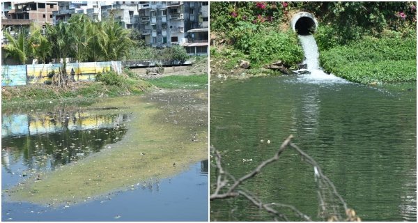 राजधानी में 20% आबादी पीने को मजबूर ई-कोलाई युक्त पानी, बड़े तालाब में मिल रहा 40 मिलियन लीटर सीवेज