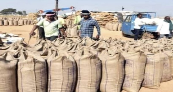 गेहूं उपार्जन में पंजीयन कराने आज आखिरी दिन