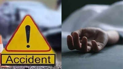 श्रद्धालुओं की कार पुलिया से गिरी, एक की मौत, दो भाई सुरक्षित