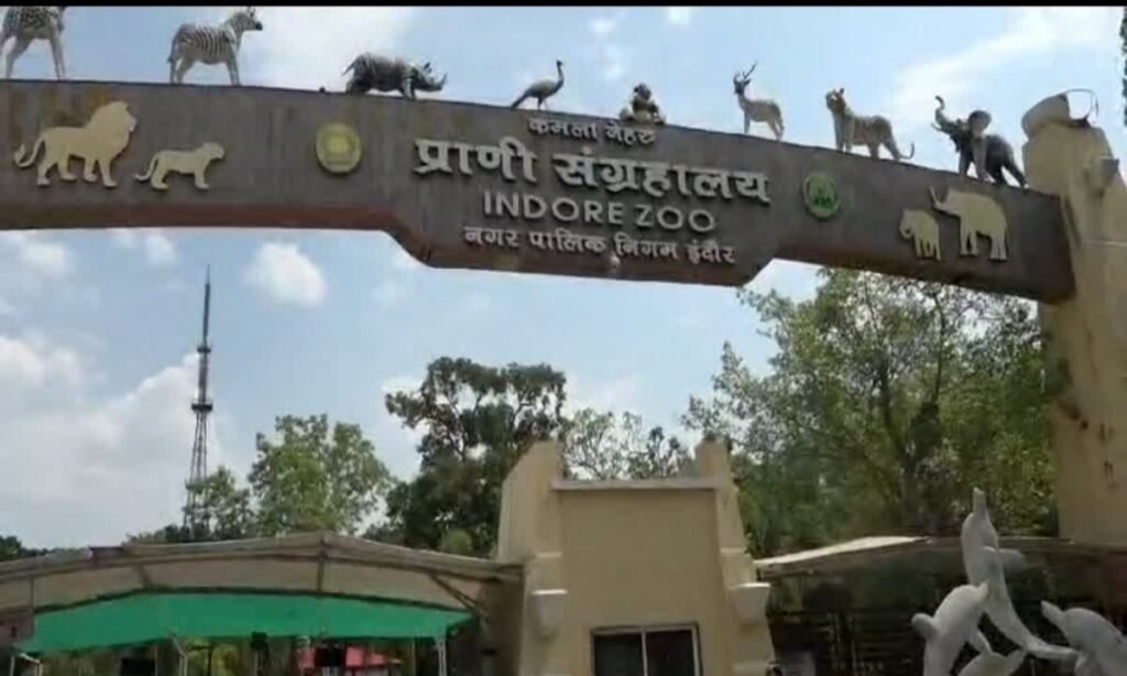 बच्चों को मिलेगा असली जंगल सफारी जैसा रोमांच