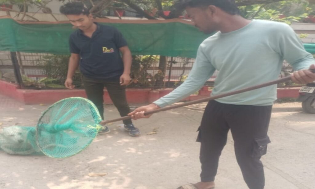 नगर निगम ने तीन दिनों में 60 श्वानों का कराया बधियाकरण-टीकाकरण