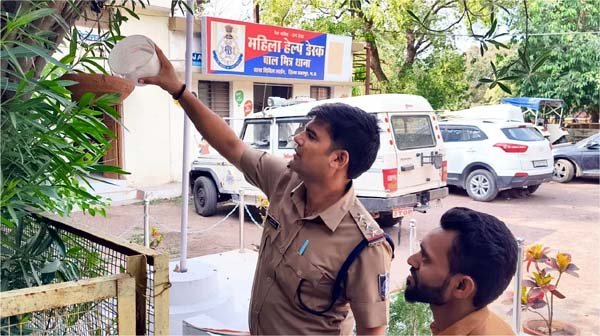 तपती धूप में बेजुबानों का सहारा बना सकोरा अभियान
