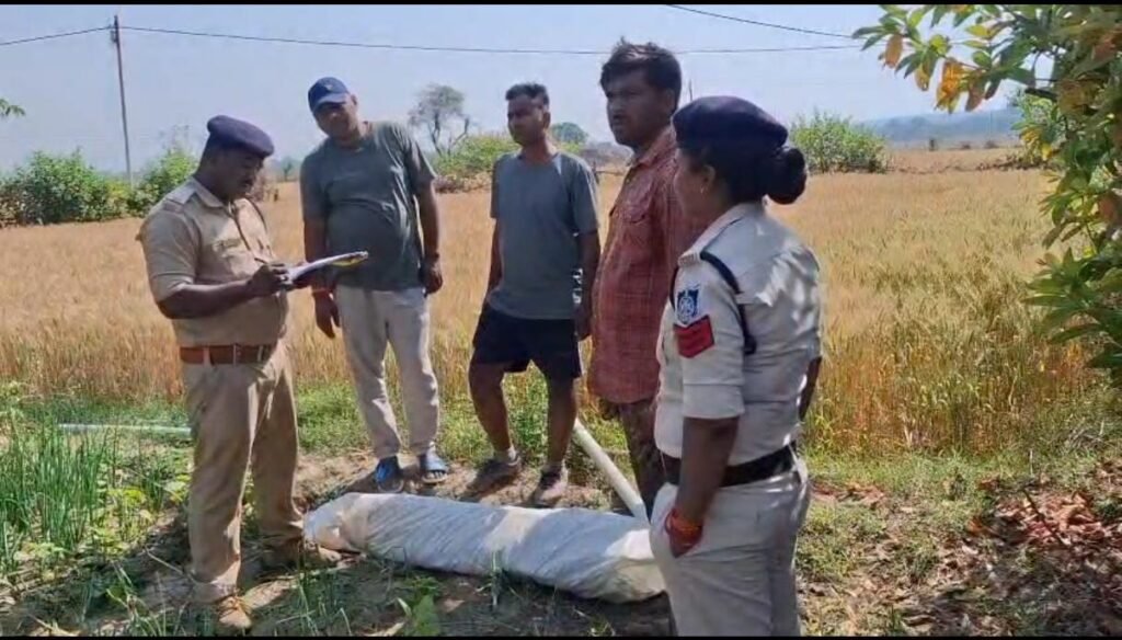 गांजा की खेती करने वाला आरोपी पकड़ाया