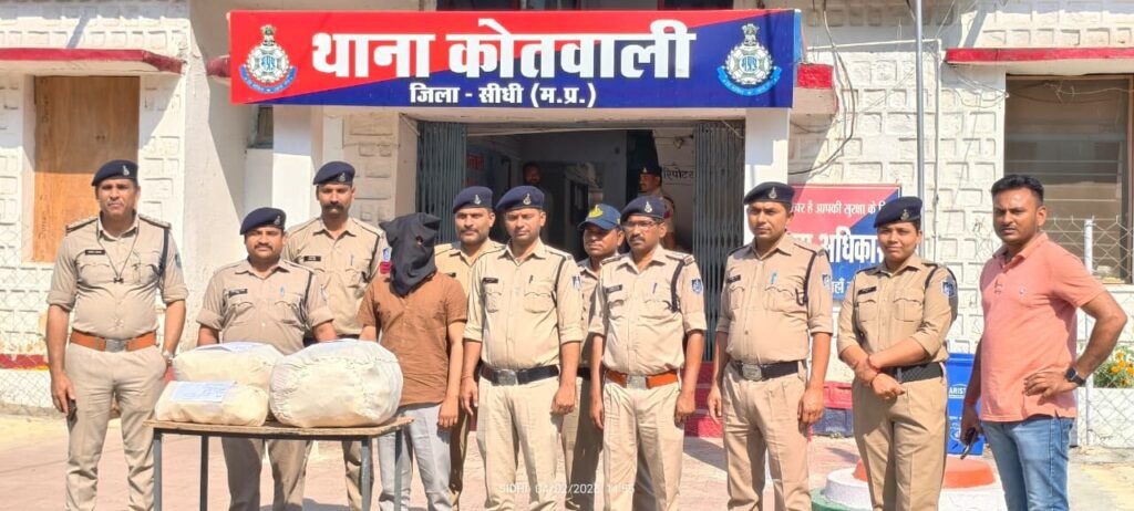 सीधी में 443 शीशी नशीली कफ सिरप बरामद