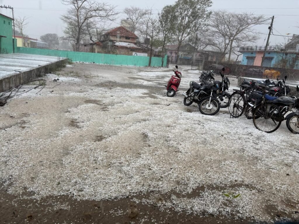 नगर मे हल्की तो ग्रामों मे जमकर हुई बर्फ़बारी, गेंहू एवं आम की फ़सल को भारी नुकसान 
