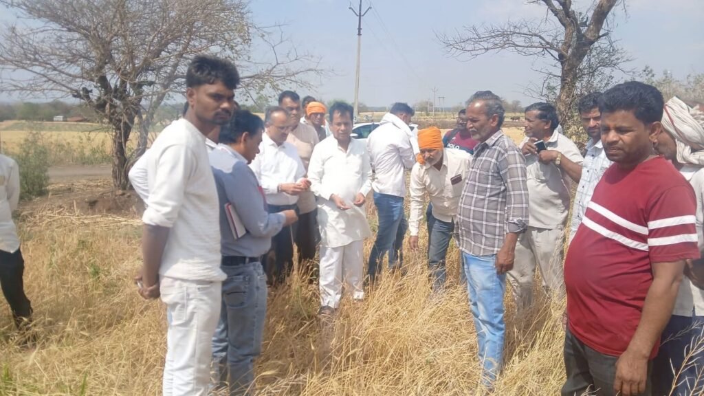 विधायक ने गांवों मे पहुंचकर किया ओला प्रभावित क्षेत्रों का निरीक्षण