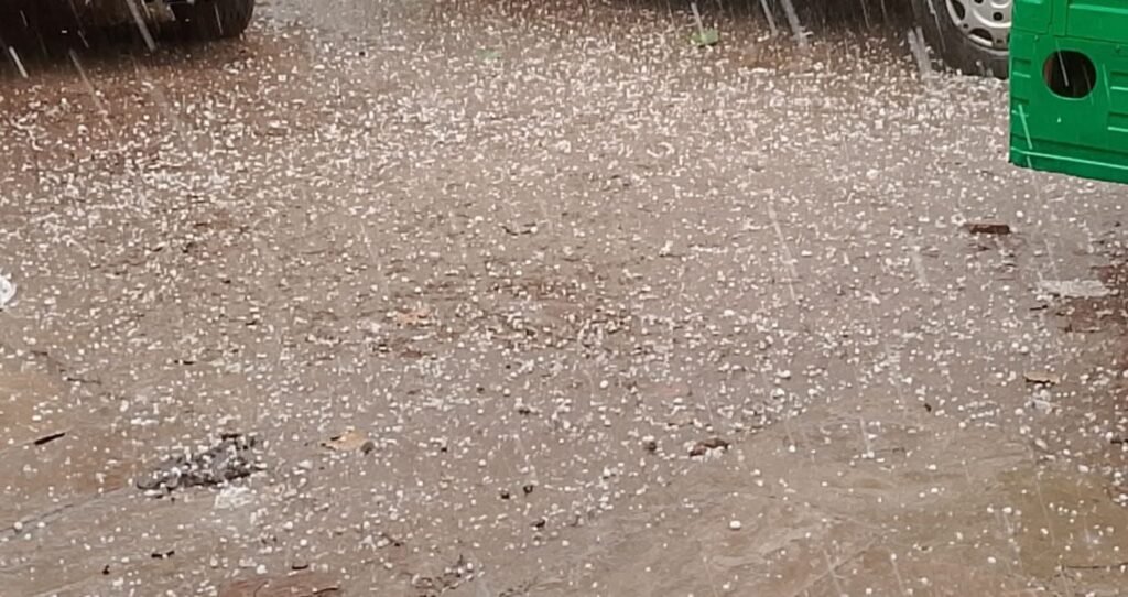 रीवा-मऊगंज जिले के कई हिस्सों में सुबह और दोपहर हुई ओलावृष्टि