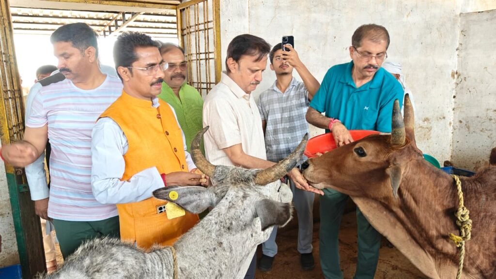 हिनौती गौधाम गौ संरक्षण एवं प्राकृतिक खेती का दिव्यधाम बनेगा: उप मुख्यमंत्री
