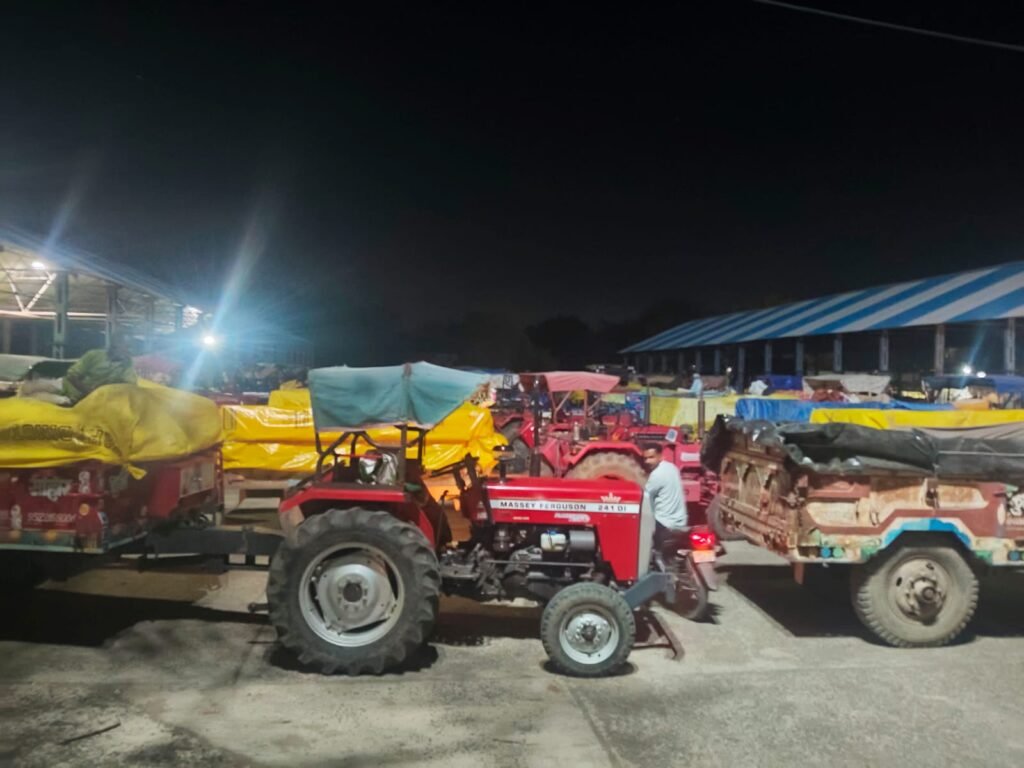 सीहोर मंडी में उपज की बम्पर आवक: मंडी हुई गुलजार 