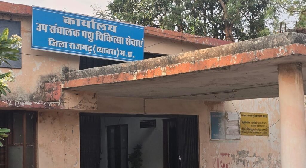 जिले में पशु चिकित्सकों के आधे पद खाली, स्वीकृत 32 में से 16 ही पद भरे, शेष खाली 