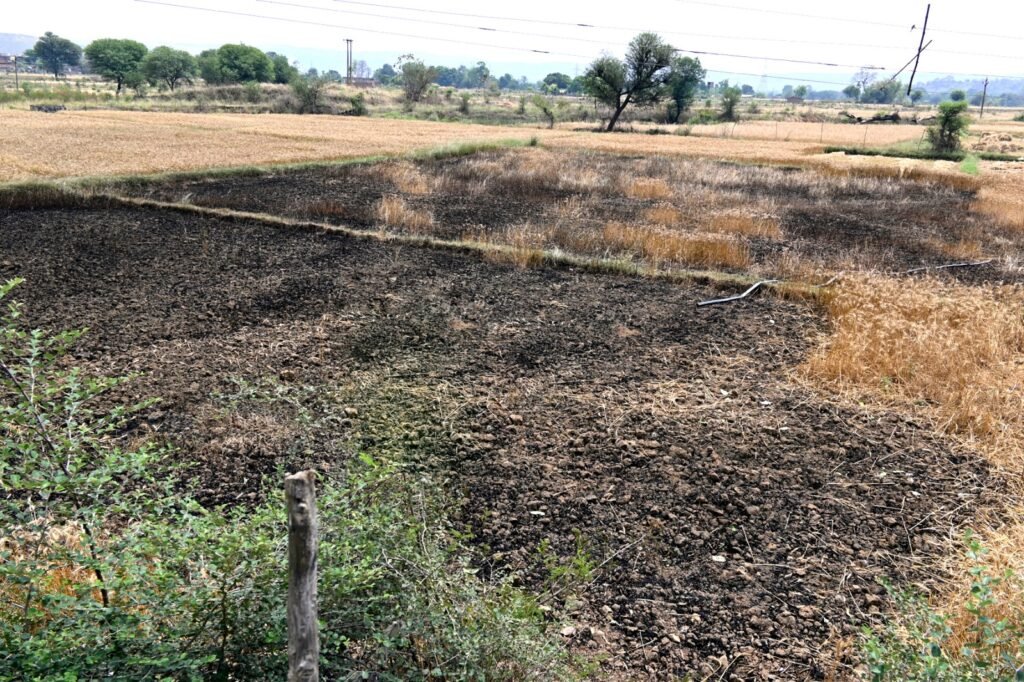 शॉर्ट सर्किट से खेत में लगी आग, फसल खाक 