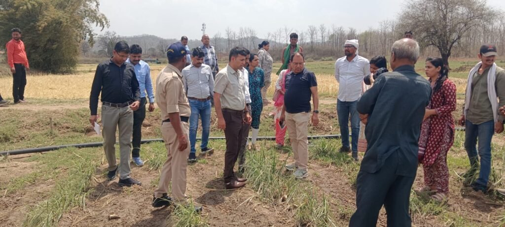 ओलावृष्टि से तबाही: कमिश्नर ने किया दौरा, जल्द मुआवजे का भरोसा