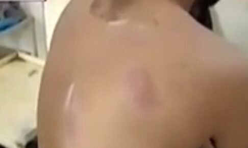 गाडरवारा स्टेशन पर मधुमक्खियों का हमला, एक दर्जन यात्री घायल