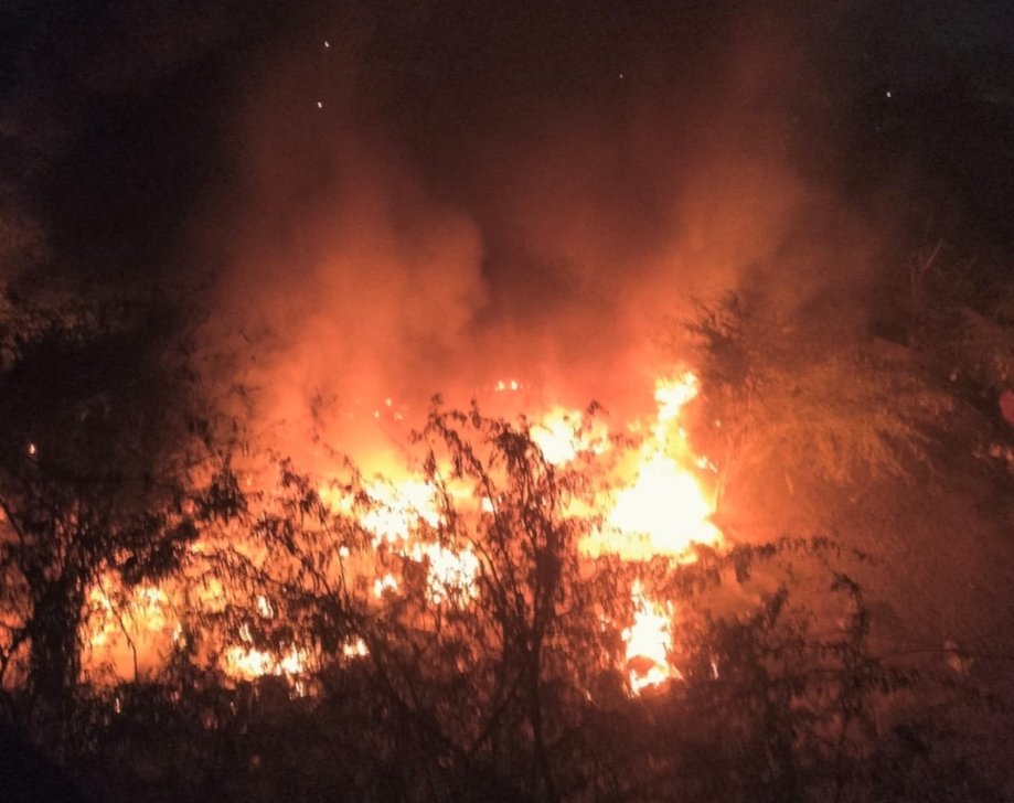 अनेक जगह कचरे के ढेर में भड़की आग