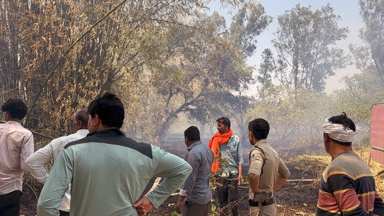 मोहन बड़ोदिया क्षेत्र में आग का तांडव, चार स्थानों पर मची अफरा-तफरी