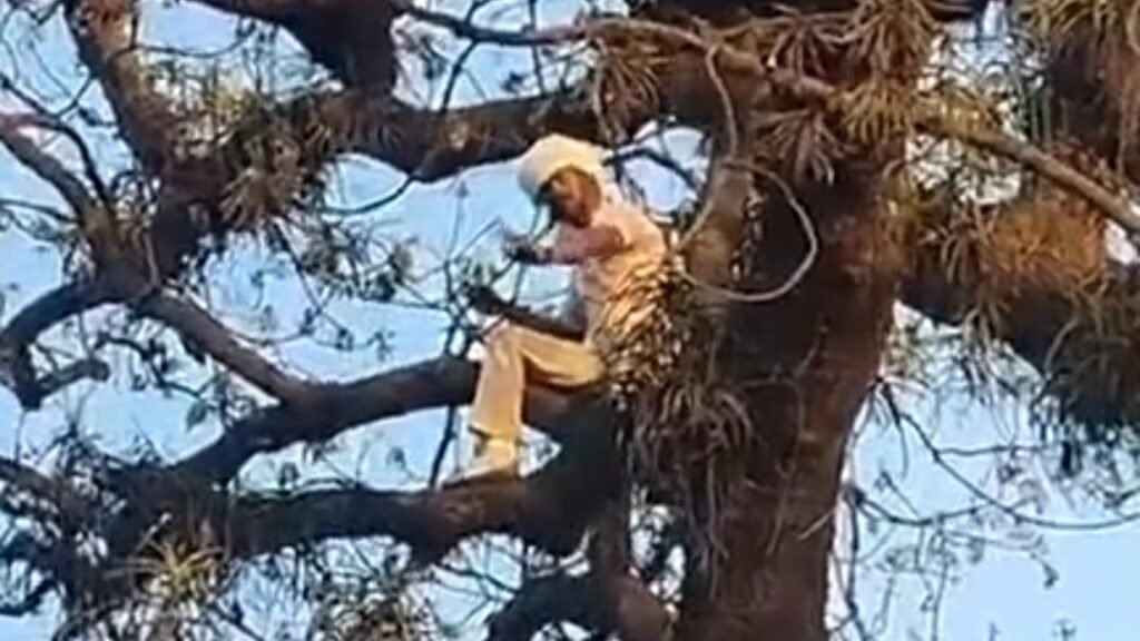 कोलयार्ड की समस्याओं से परेशान युवक पेड़ पर चढ़ा, प्रशासन मौके पर जुटा