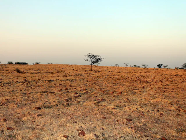 मंदिरों की जमीनों पर अब नहीं कर सकेंगे कब्जा