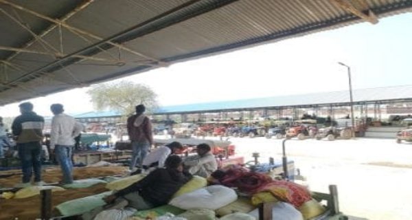 7 अप्रैल से स्लॉट बुकिंग, ग्वालियर चंबल में 15 से होगी गेहूं खरीदी