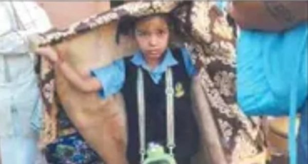 स्कूल पहुंचे ही थे बच्चे और उड़कर आया मधुमक्खियों का झुंड, डरे-सहमे अभिभावक बच्चों को घर ले गए