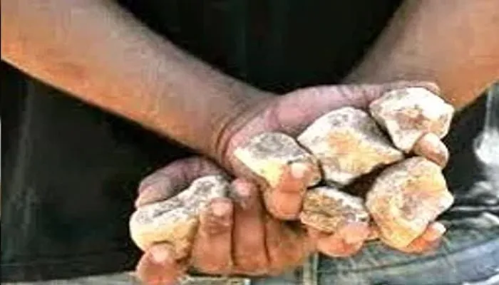 सतना में बवाल: अतिक्रमण हटाने गई टीम पर पथराव, सिटी मजिस्ट्रेट ने भागकर बचाई जान