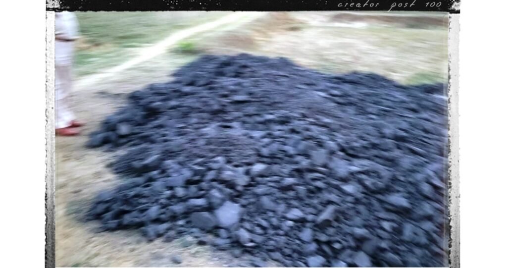 डेढ़ लाख कीमत का 20 टन कोयला जप्त