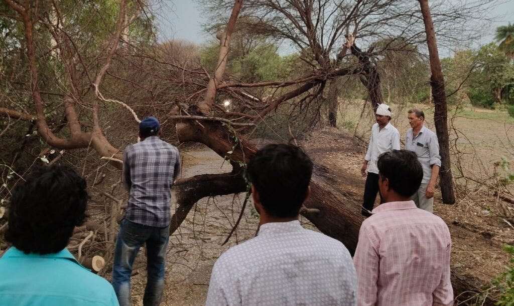 प्री मानसून की दस्तक, तरबतर हुआ सीहोर