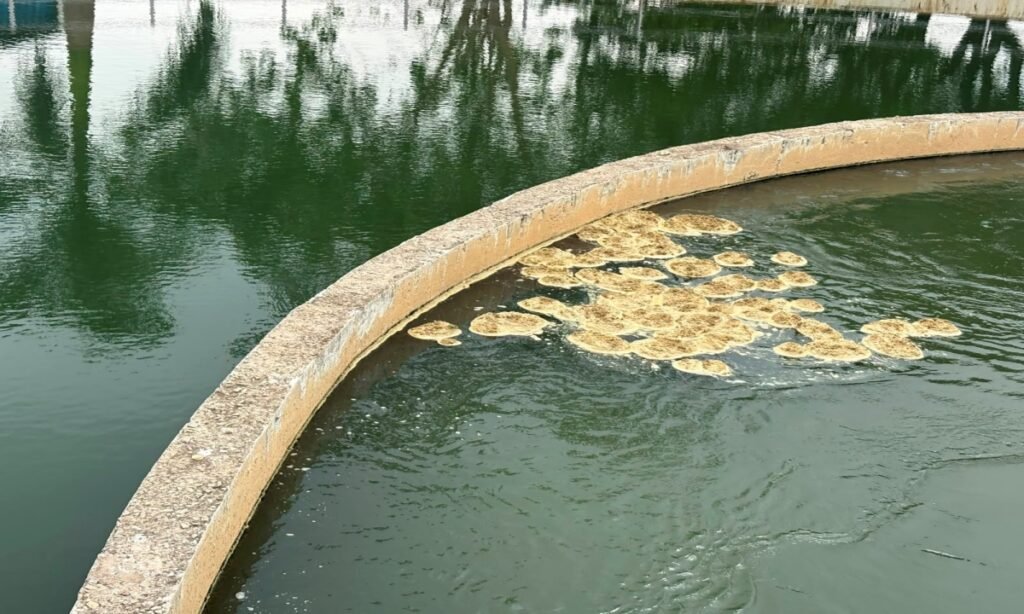 रसायनों में कटौती कर कृष्णा कंपनी दे रही दूषित पानी