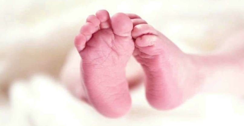 बेंगलुरु में चार महीने की जुड़वां मासूम बेटियों की हत्या करने के बाद मां ने खुदकुशी की कोशिश की, पति ने मामला दर्ज कराया